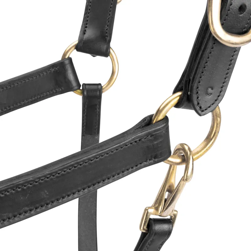 Velociti GARA Leather Travel Headcollar in Black-3