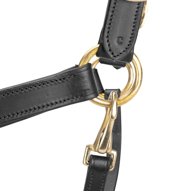 Velociti GARA Leather Travel Headcollar in Black-4