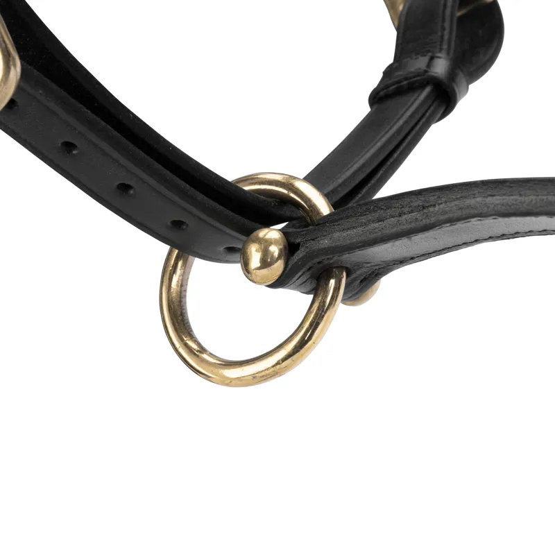 Velociti GARA Leather Travel Headcollar in Black-5