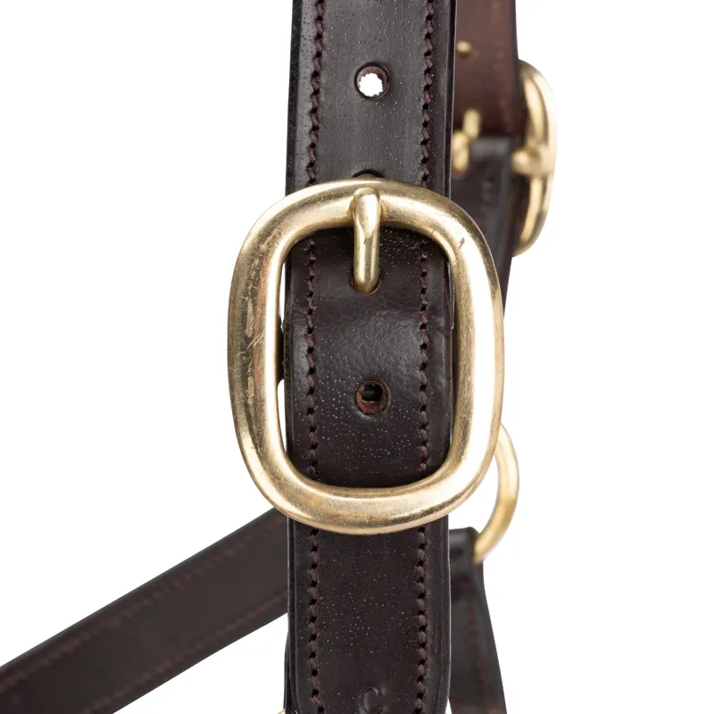 Velociti GARA Leather Travel Headcollar in Havana-1