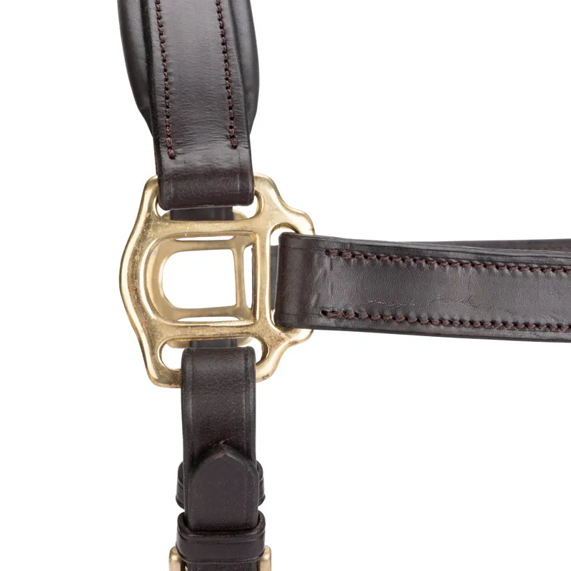 Velociti GARA Leather Travel Headcollar in Havana-2