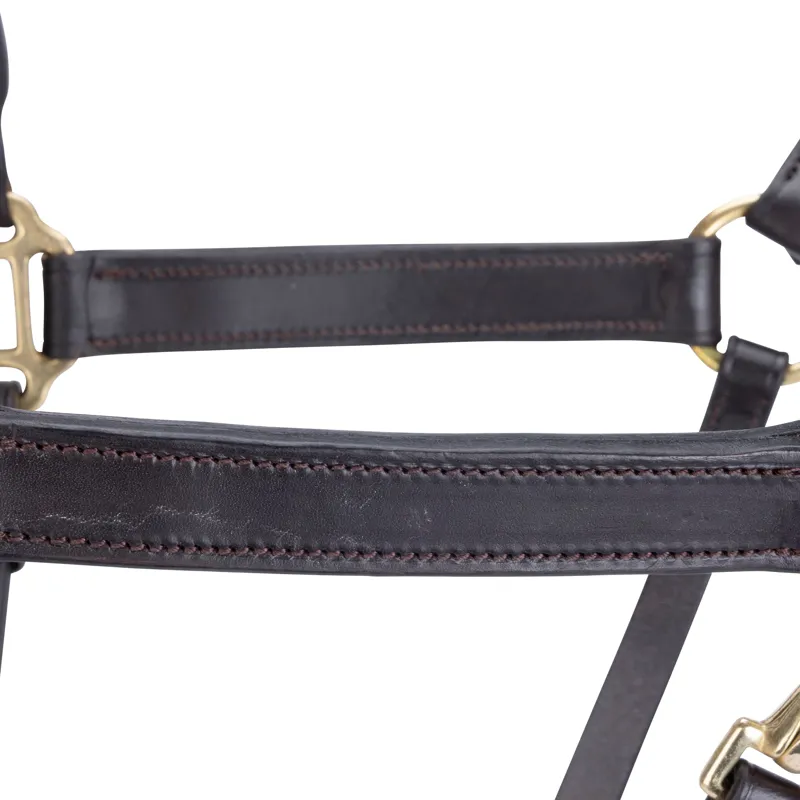 Velociti GARA Leather Travel Headcollar in Havana-3