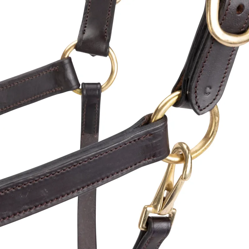 Velociti GARA Leather Travel Headcollar in Havana-4