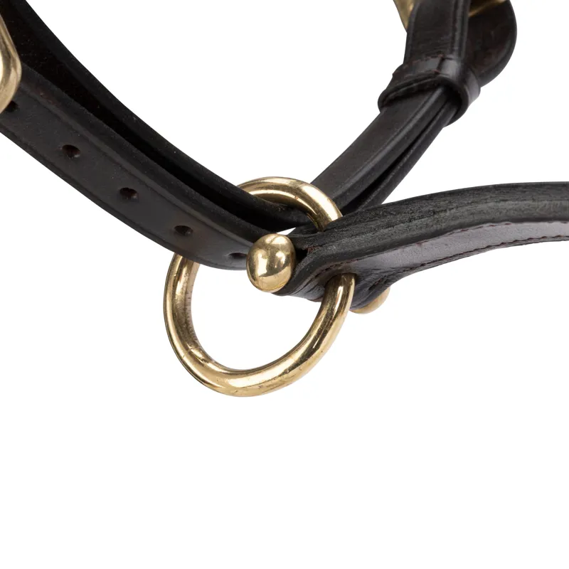 Velociti GARA Leather Travel Headcollar in Havana-5