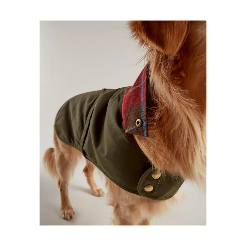 Joules Wax Dog Coat - Green-3