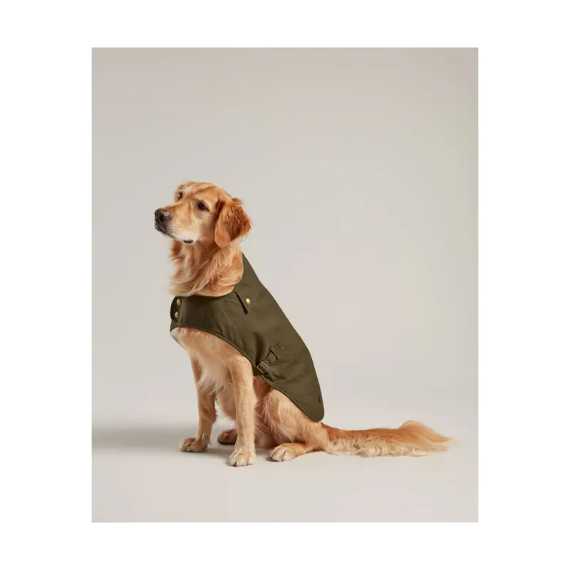 Joules Wax Dog Coat - Green