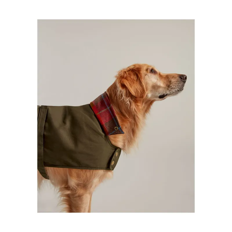 Joules Wax Dog Coat - Green-2