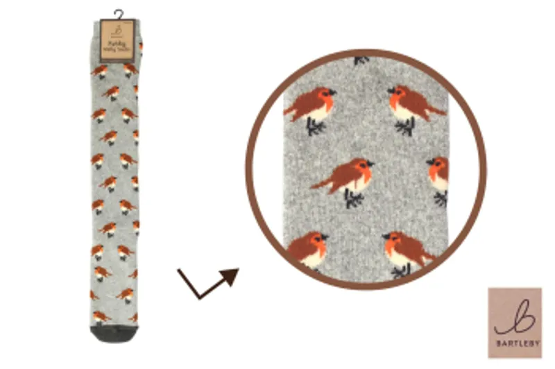 Bartleby Funky Bamboo Sock 4-7 Robin