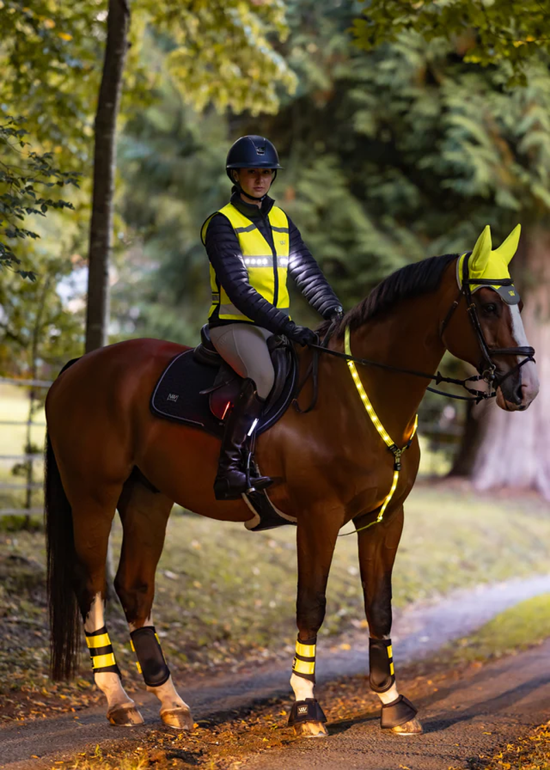 Woof Wear 3-in-1 Rider Safety Lights in Red/White-2