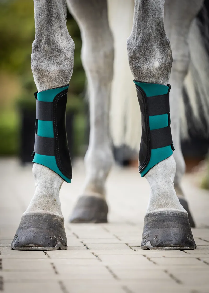 Woof Wear Club Brushing Boot in British Racing Green/Black-2