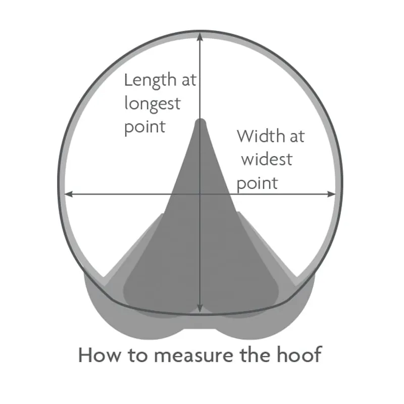 Woof Wear Medical Hoof Boot Black/Blue-3