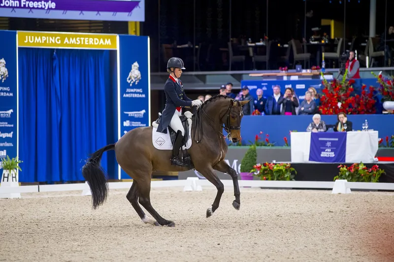 Fairfax World Class Dressage Saddle Plain -1