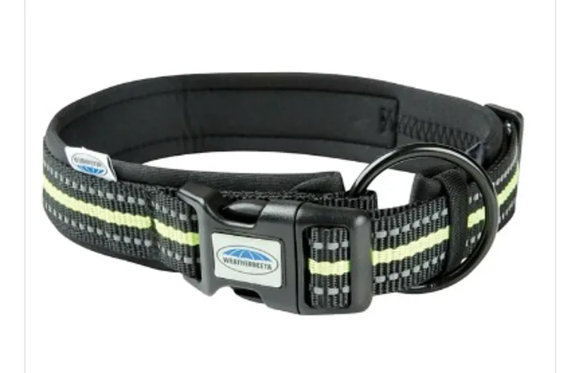 Weatherbeeta Reflective Dog Collar - Black/Yellow