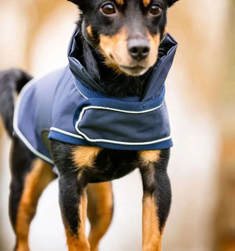 Horseware Signature Dog Rain Coat - Navy-5