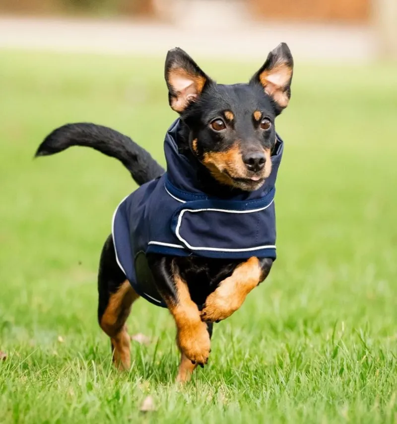 Horseware Signature Dog Rain Coat - Navy-2