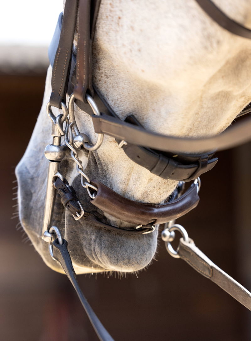 LeMieux Rubber Curb Chain Guard - Brown-1