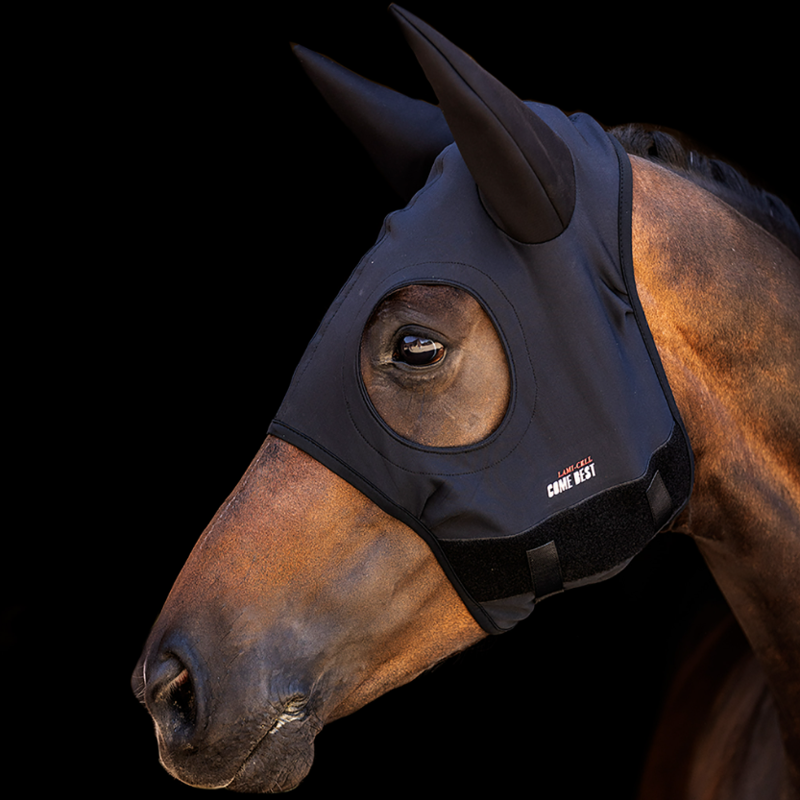 Zilco Come Best Titanium Black Hood with Ears-2