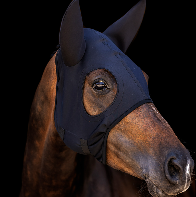 Zilco Come Best Titanium Black Hood with Ears-1