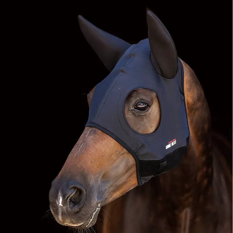 Zilco Come Best Titanium Black Hood with Ears