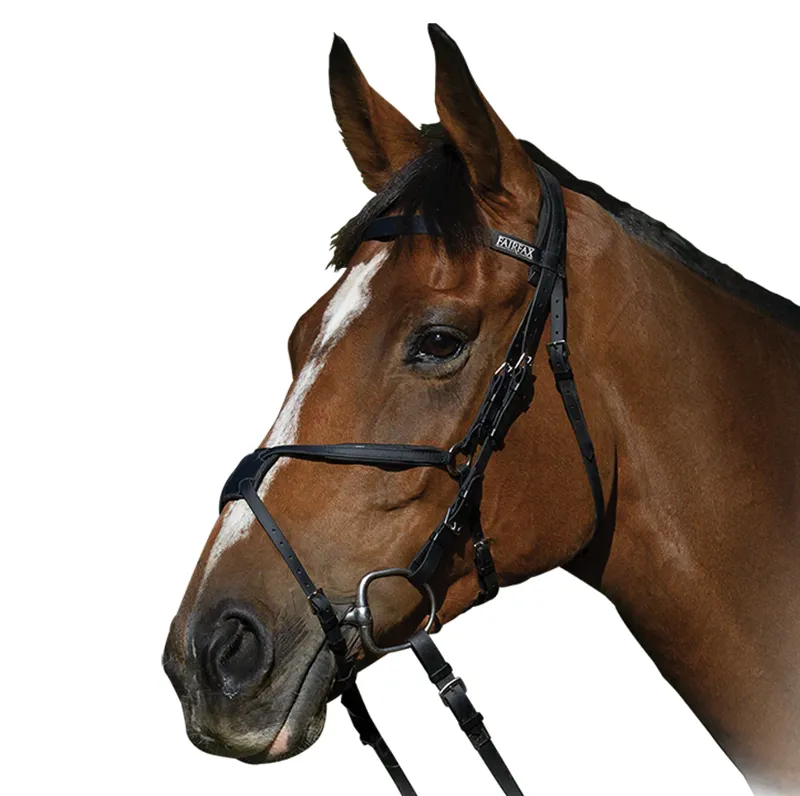 Fairfax Bridle - Black Race Grackle 