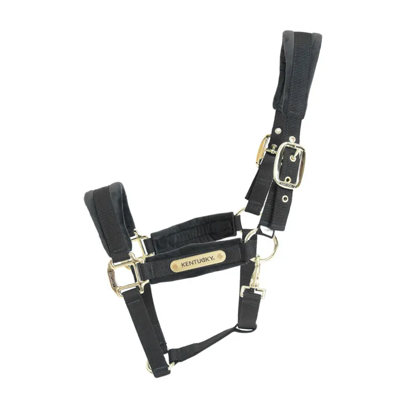 Kentucky Velvet headcollar - Black