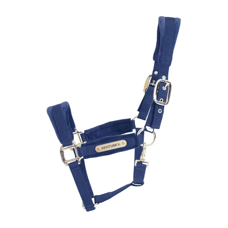 Kentucky Velvet headcollar - Navy
