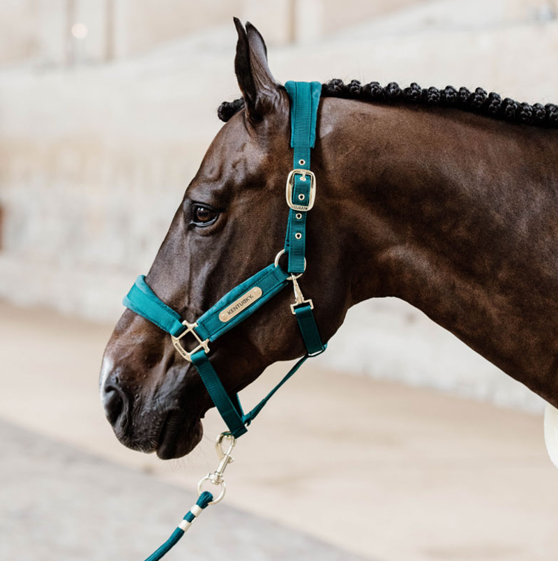 Kentucky Velvet headcollar - Emerald-5