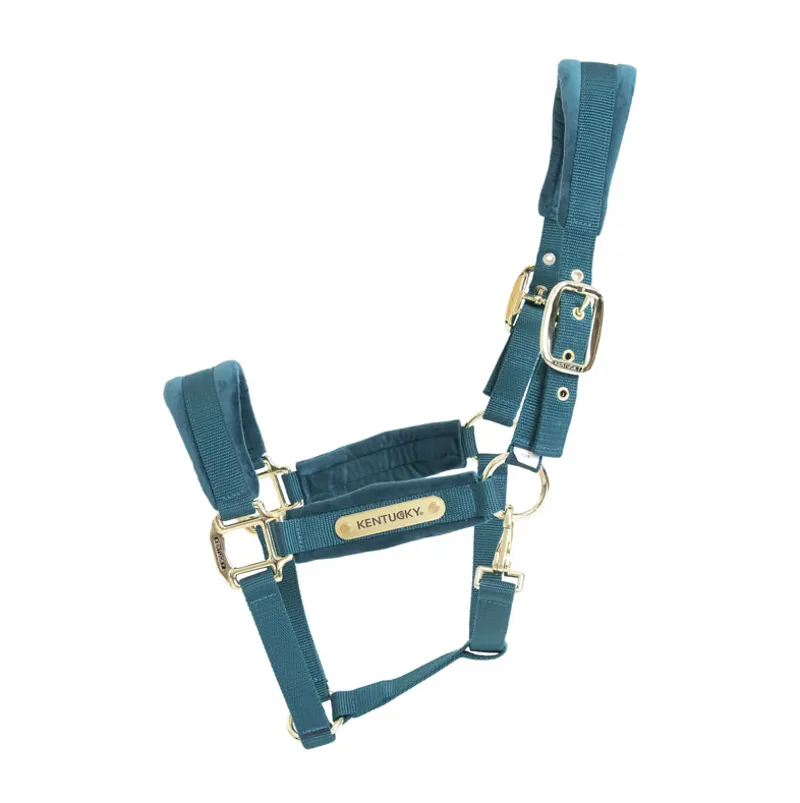 Kentucky Velvet headcollar - Emerald
