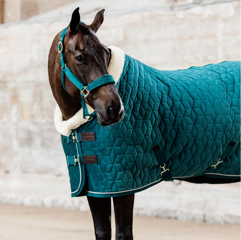 Kentucky Velvet headcollar - Emerald-1