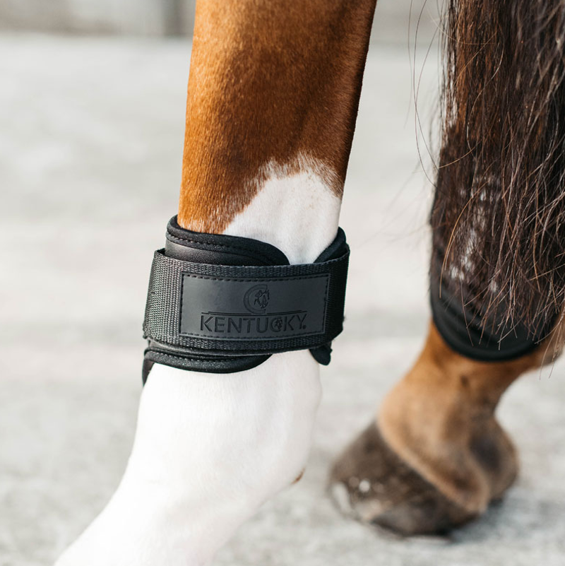 Kentucky Young Horse Fetlock Boots Air - Black-3