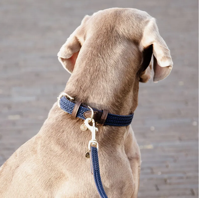 Kentucky Plaited Nylon Dog collar - Navy