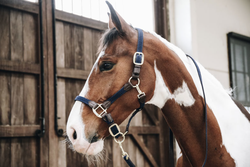 Kentucky Plaited Nylon Horse leadrope - Navy 2 metres-1