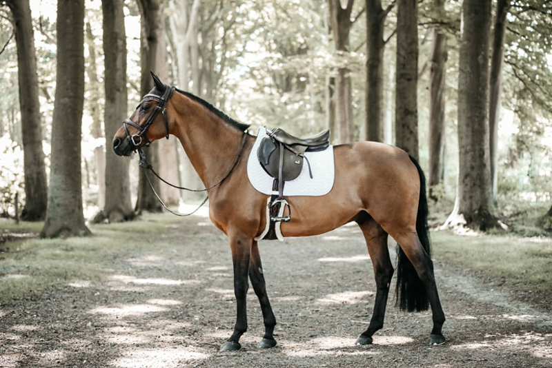 Kentucky fishbone show jumping Saddle Pad - White - Full-1