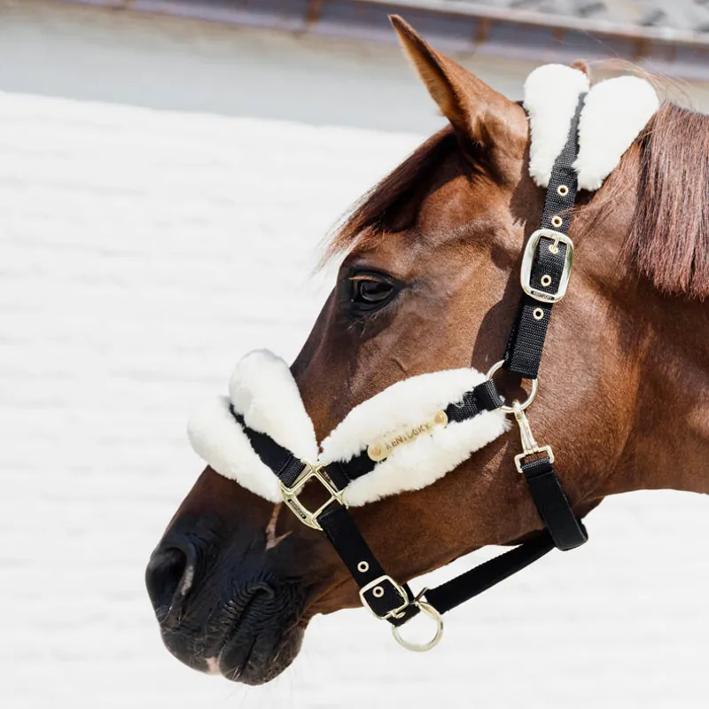 Kentucky Nylon sheepskin headcollar - Soft natural