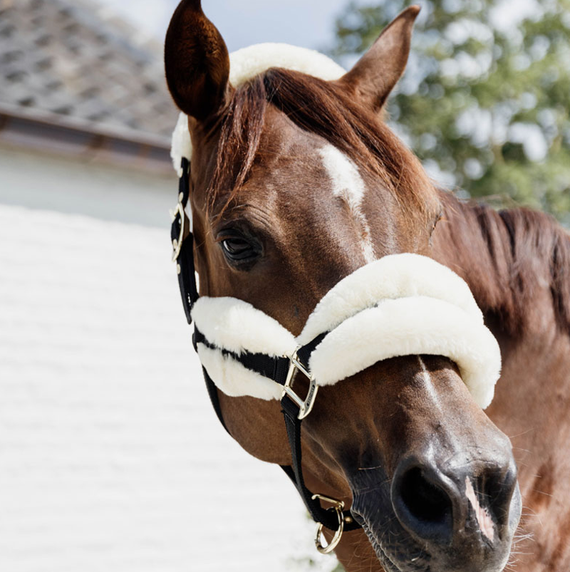 Kentucky Nylon sheepskin headcollar - Soft natural-1