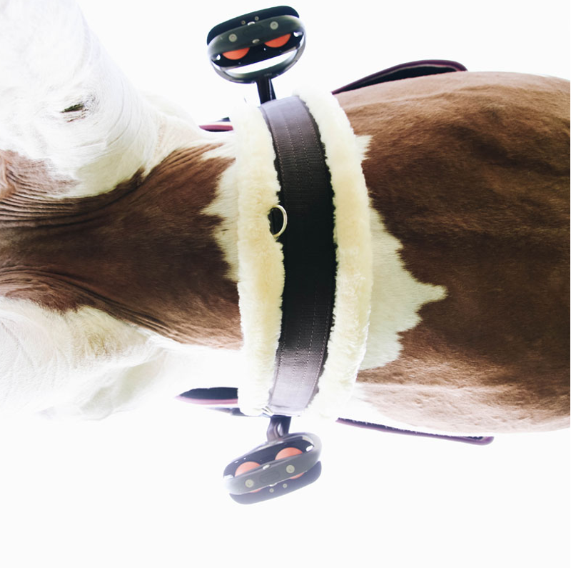 Kentucky Sheepskin Elasticated Girth - Brown-1