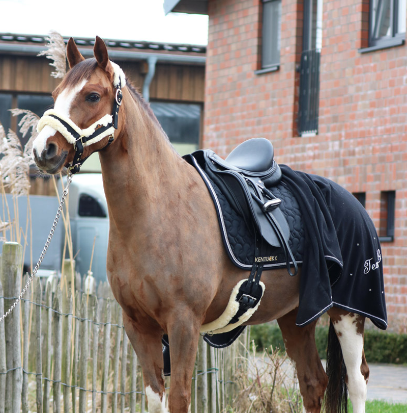 Kentucky Sheepskin Short Girth - Black-3