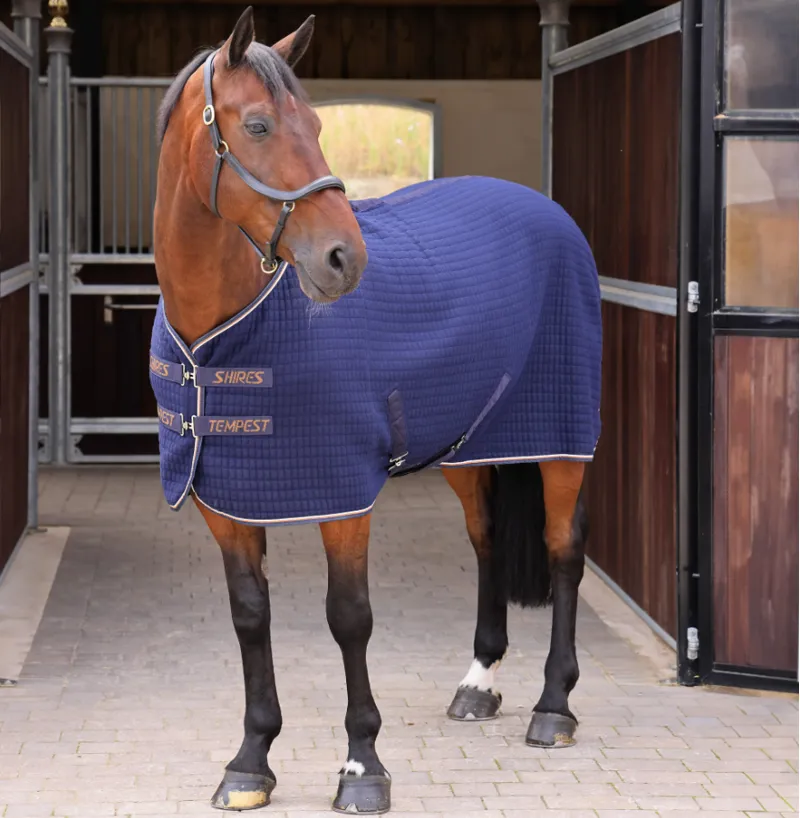 Shires Tempest Original Tech Cooler Rug - Ink