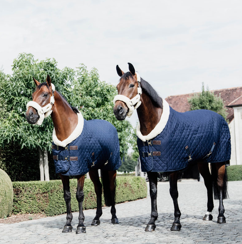 Kentucky Show Rug - Navy 160g-1