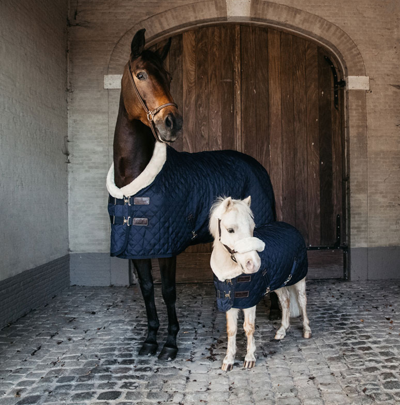 Kentucky Show Rug - Navy 160g-3