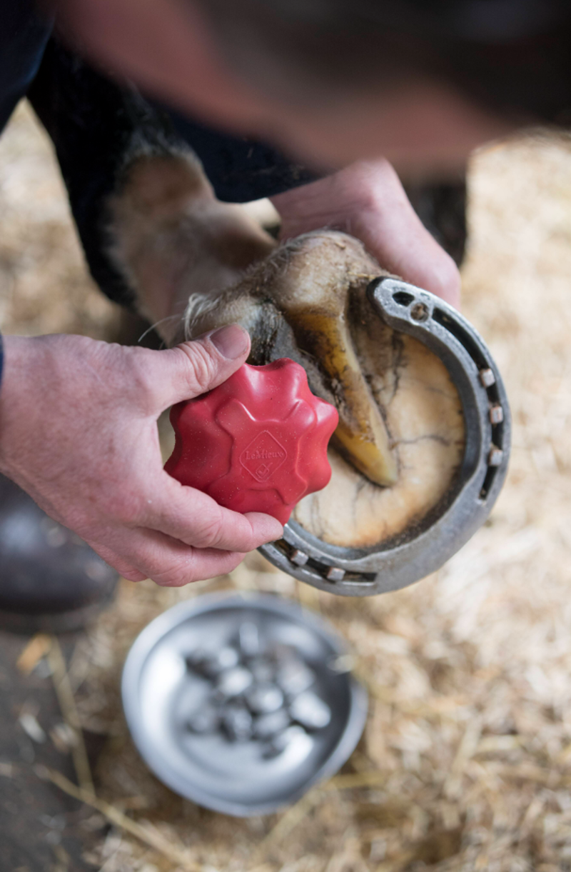 LeMieux Safety Stud Tap - Red-1