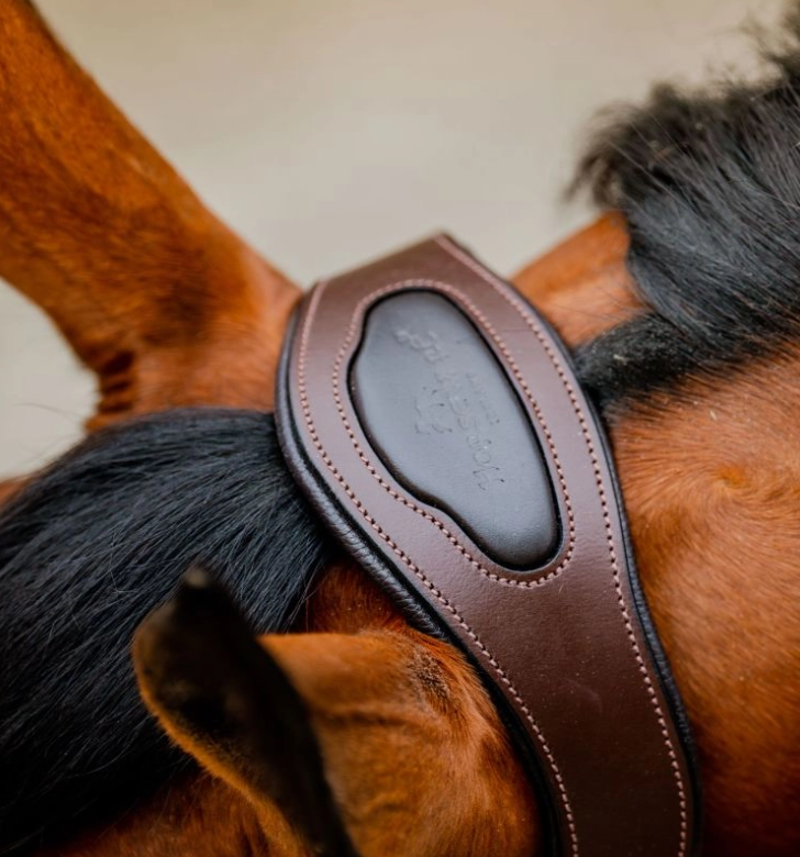 Horseware Signature Competition Headcollar- Navy-1