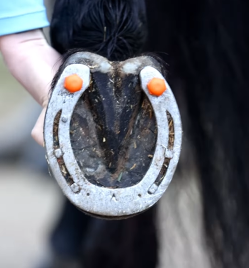 StudFast - Single Studs-1