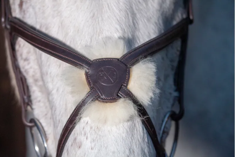 Henry James Sheepskin Grackle Bridle - Havana-2